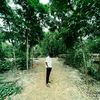 md.rifat815