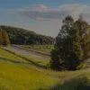 mentaikopasta7