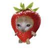 chocopiee_70