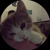 lidka._.pv