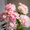 haiyen9877