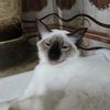 anouer.k
