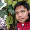 wayan442