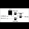 dyu29ctp8spr