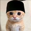 ahmed