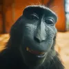 newaiej