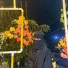 oishi_317