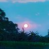 sanjida39712