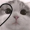 le3_pan