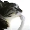 jastleavv