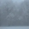 _kikitar