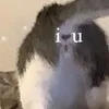 llcoo0k