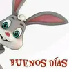 monsebdo