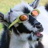marvelousgoat99