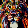 user5312060782161
