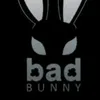 bunny_9155
