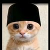 ahmad_zanjabil