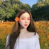 park_yn_official_acc3