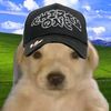 gael_rc09