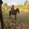 allanbatista829