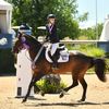 addywingate_equestrain