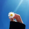 jamilatun_1516