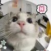 mai.lala4