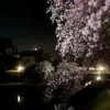 secret_inawell