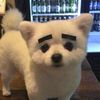 nuobpao