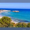 zazar_80