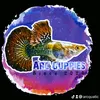 arcquatic