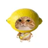 quy_nguyennn12