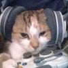 liongaming.oficial