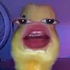 noneisugly