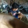 owner_2strok