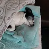 jennyspa66