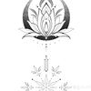 metisse240