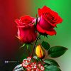 rajim916