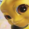 drexdp