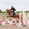 bertiepony4life