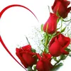 basim_m_a