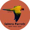 sakera_parrots