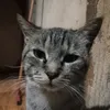 gxiyjftsxoghfrht
