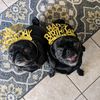 pugmomma4life
