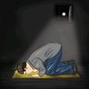 waleedshaheen391