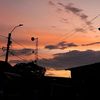 elcucho_2310