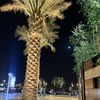 jejealghamdi141