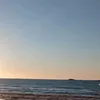 facktiktok11