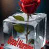 djilalibouderbala1