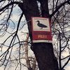 marac19877